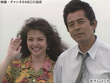 (C)テレパック