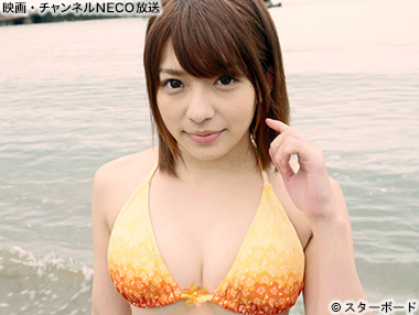 (C)スターボード