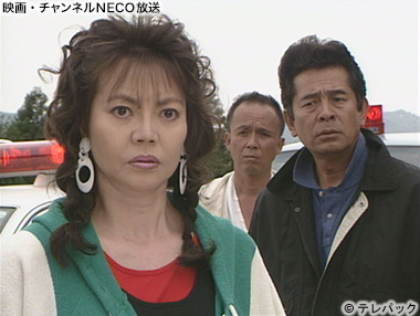 (C)テレパック