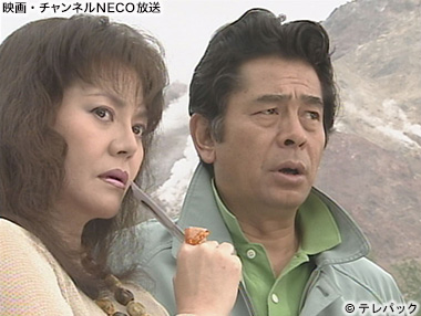 (C)テレパック