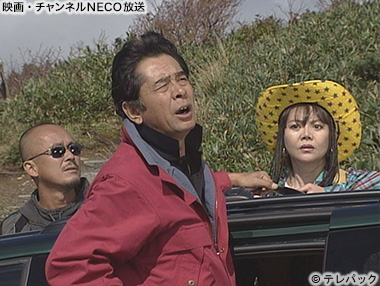 (C)テレパック
