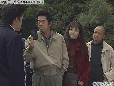 (C)テレパック
