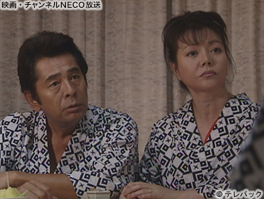 (C)テレパック