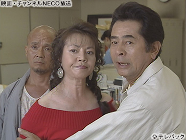 (C)テレパック