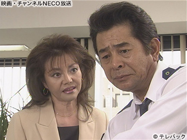(C)テレパック