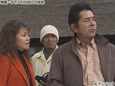 (C)テレパック