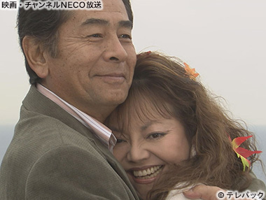 (C)テレパック