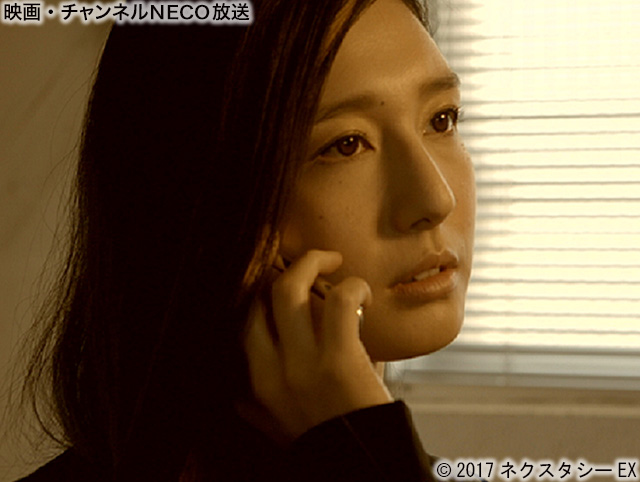 (C)2017ネクスタシーEX