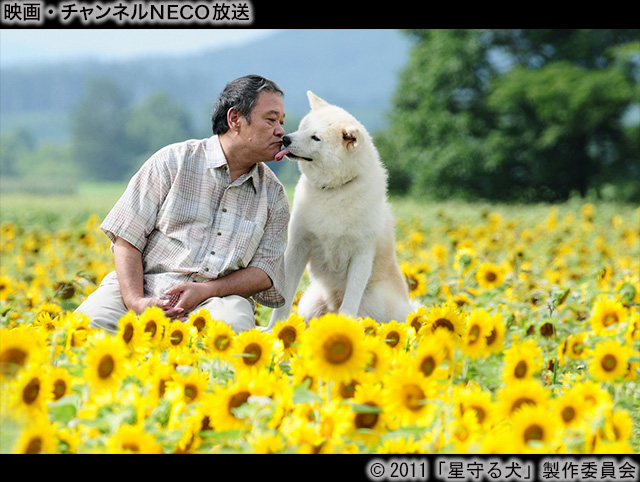 (C)2011「星守る犬」製作委員会