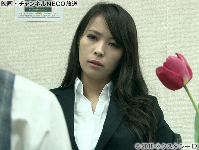 (C) 2018ネクスタシーEX