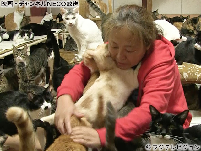 (C)フジテレビジョン 略称(C)フジテレビ