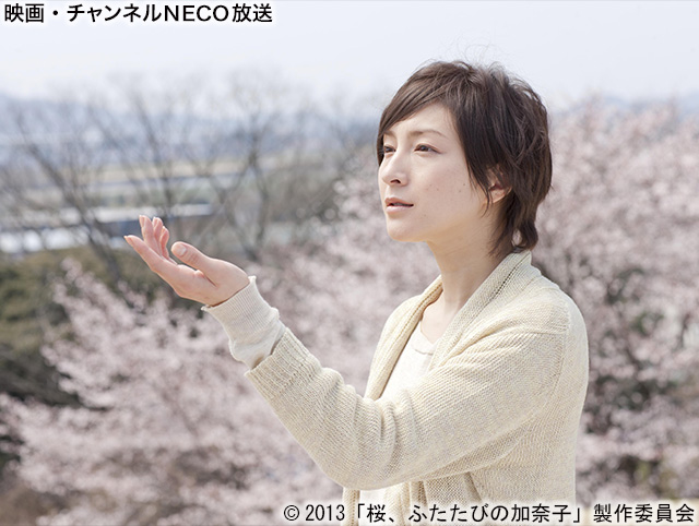 (C)2013「桜、ふたたびの加奈子」製作委員会