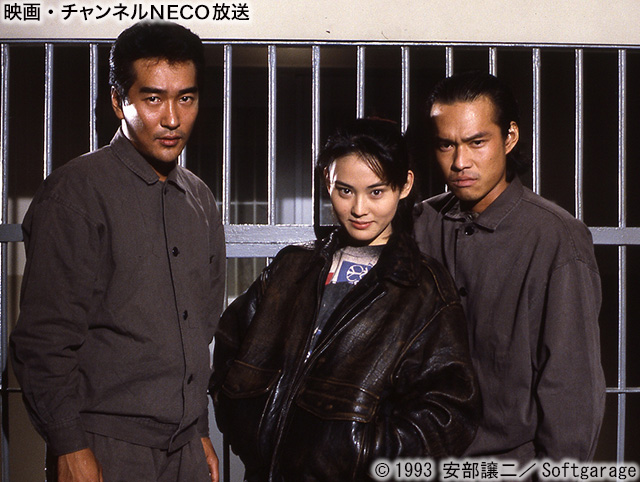 (C)1993 安部譲二/Softgarage