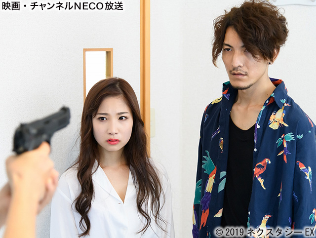 (C)2019ネクスタシーEX