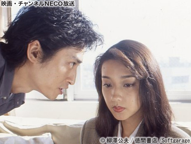 (C)柳澤公夫/徳間書店/Softgarage
