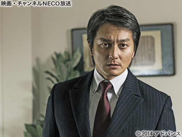 (C)2014アドバンス