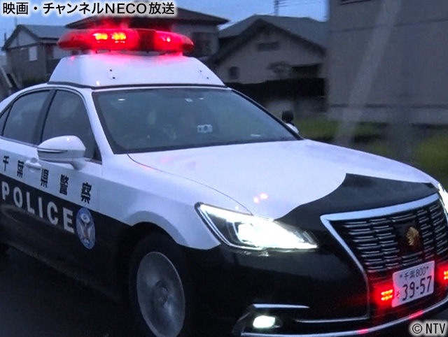 (C)NTV