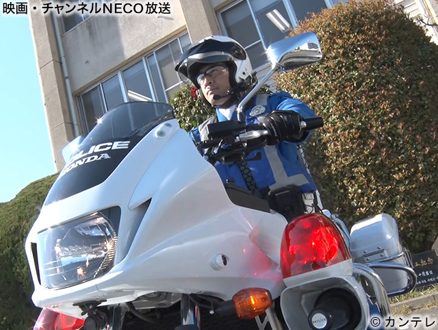 (C)カンテレ