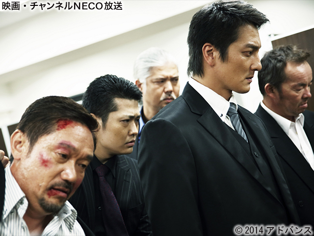 (C)2014アドバンス