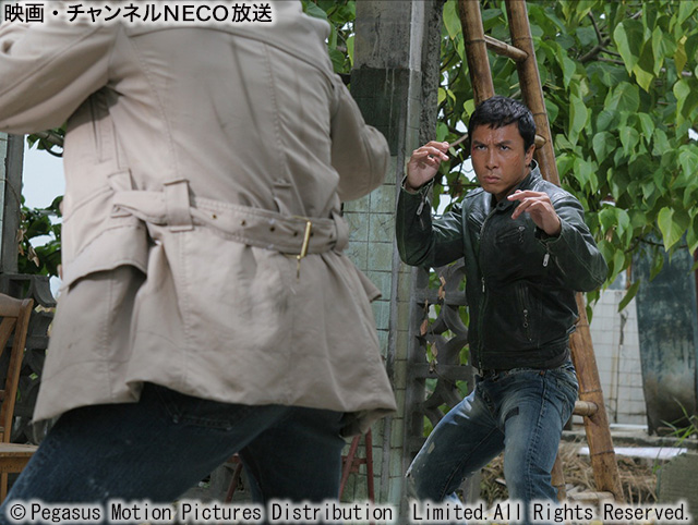 (C)Pegasus Motion Pictures Distribution Limited.All Rights Reserved.