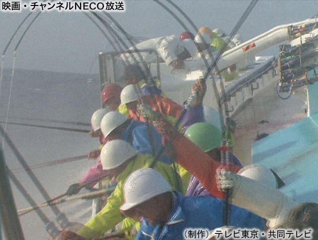 (制作)テレビ東京・共同テレビ