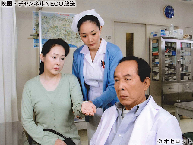 (C)オセロット
