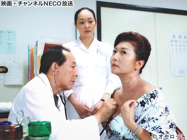 (C)オセロット