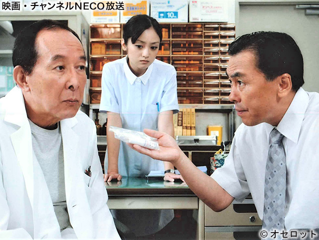 (C)オセロット