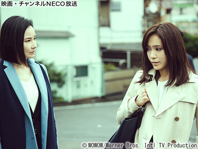 (C)WOWOW/Warner Bros. Intl TV Production