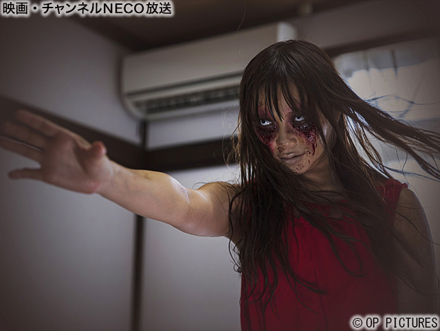 (C)OP PICTURES