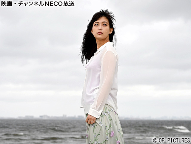 (C)OP PICTURES