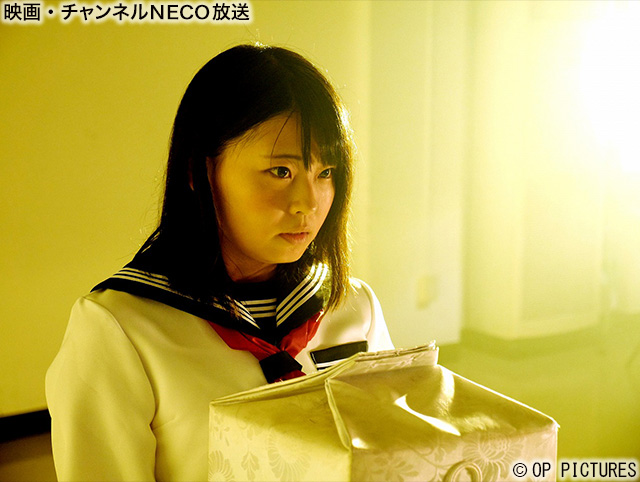 (C)OP PICTURES