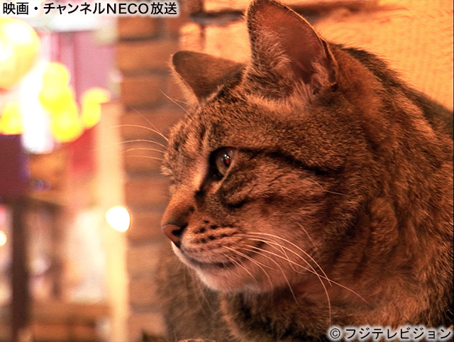 (C)フジテレビジョン