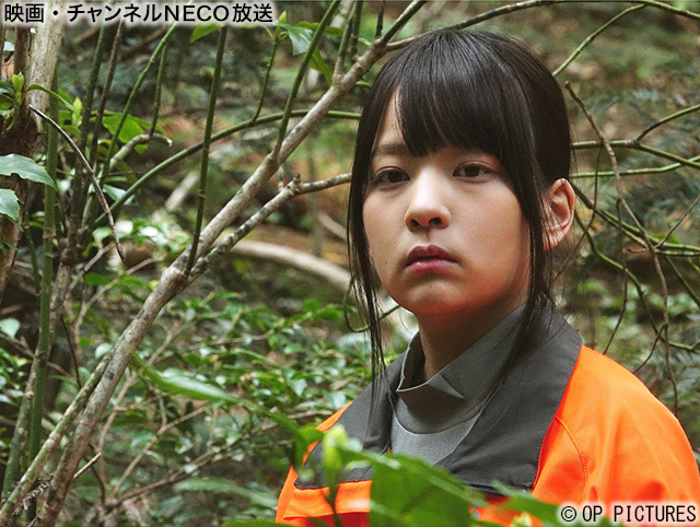 (C)OP PICTURES