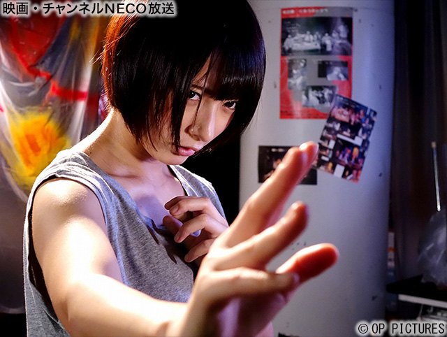 (C)OP PICTURES