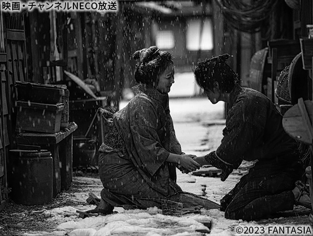 せかいのおきく｜映画・チャンネルNECO