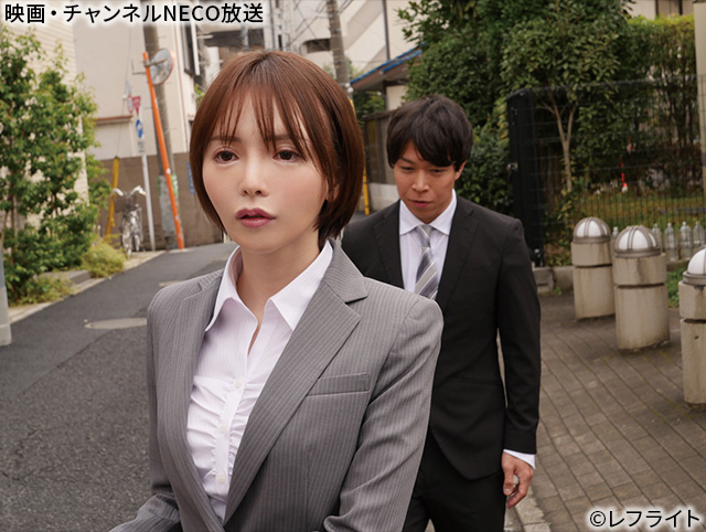 (C)レフライト