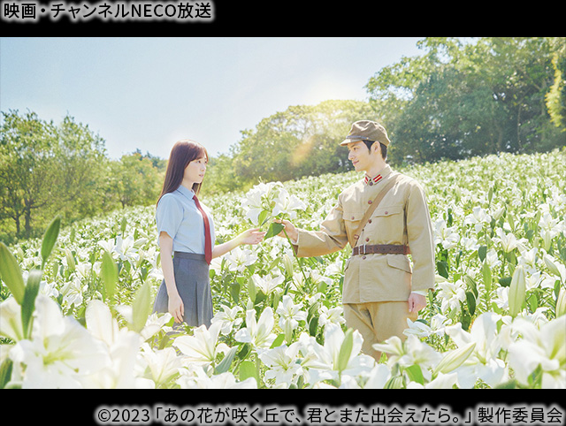 (C)2023「あの花が咲く丘で、君とまた出会えたら。」製作委員会