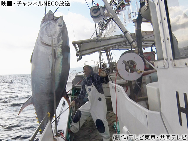 (制作)テレビ東京・共同テレビ