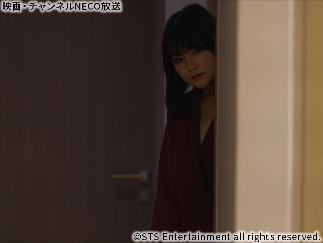 (C)STS Entertainment all rights reserved.