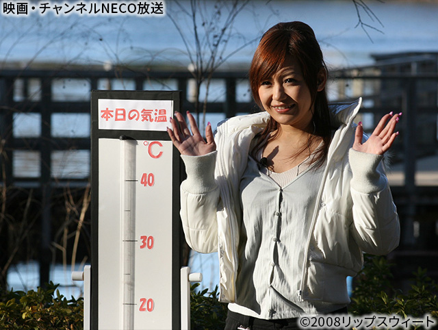 (C)2008リップスウィート