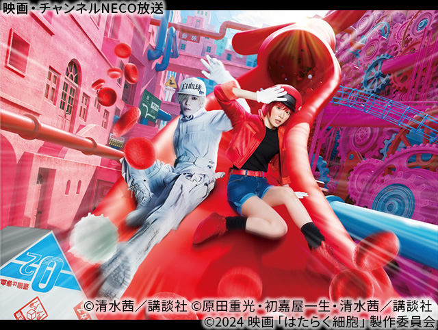 (C)清水茜／講談社 (C)原田重光・初嘉屋一生・清水茜／講談社 (C)2024 映画「はたらく細胞」製作委員会