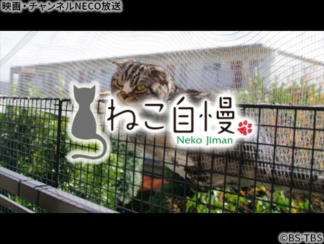 (C)BS-TBS