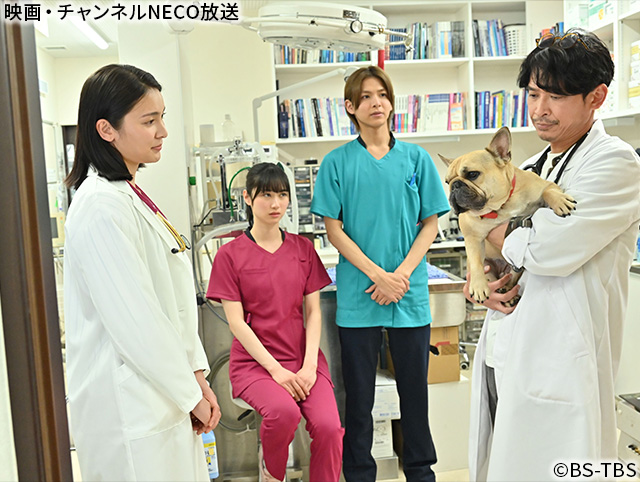 (C)BS-TBS
