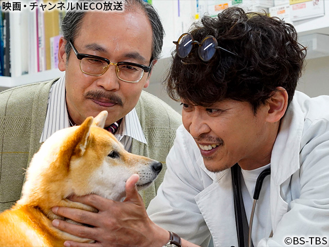 (C)BS-TBS