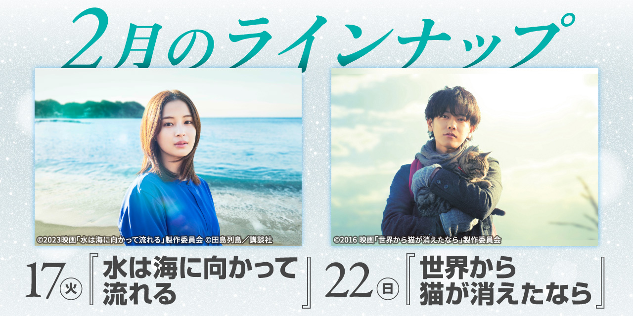 今月のラインナップ