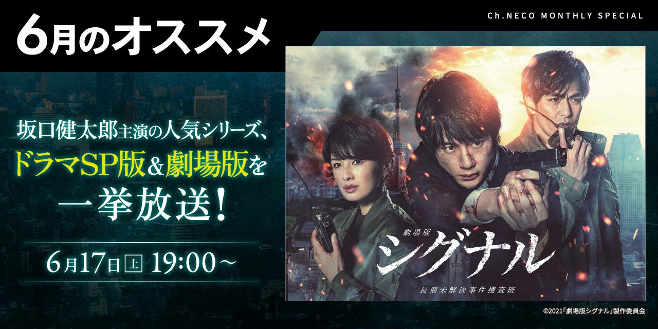 6月のオススメ