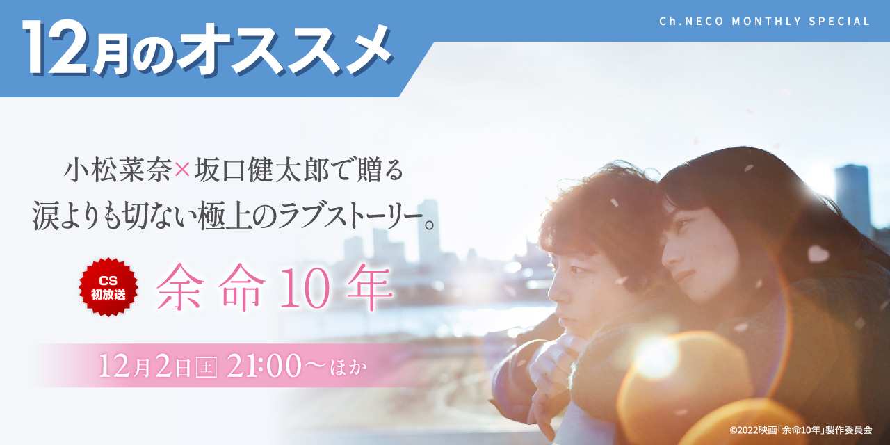 12月のオススメ