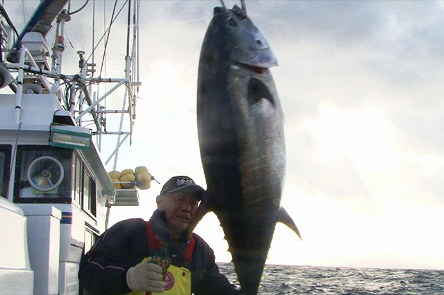 巨大マグロ初競り戦争　2018～マグロに選ばれし勇者たち～ [挑戦編]