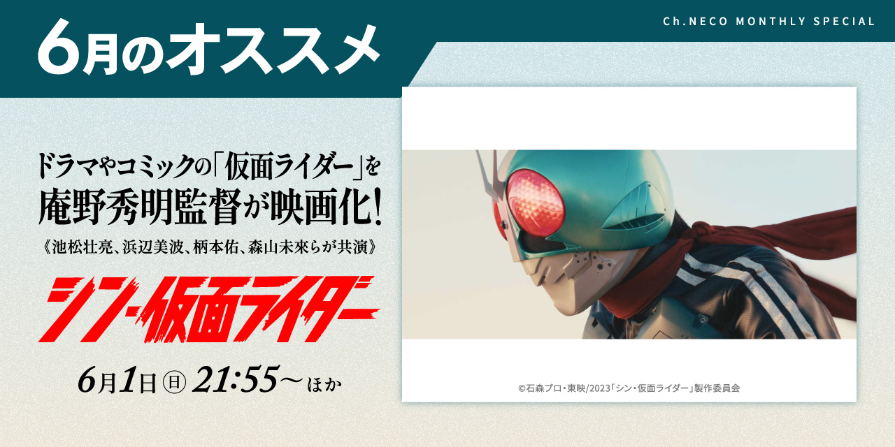 6月のオススメ
